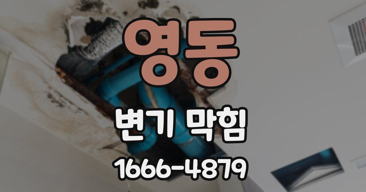 영동 변기 막힘