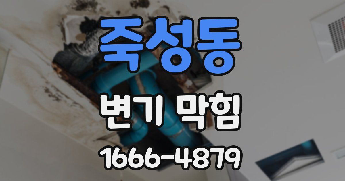 죽성동 변기 막힘