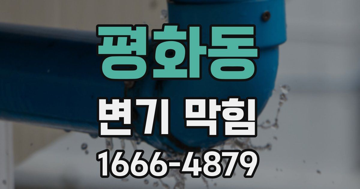 평화동 변기 막힘