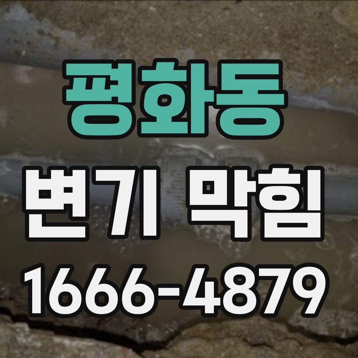 평화동 변기 막힘