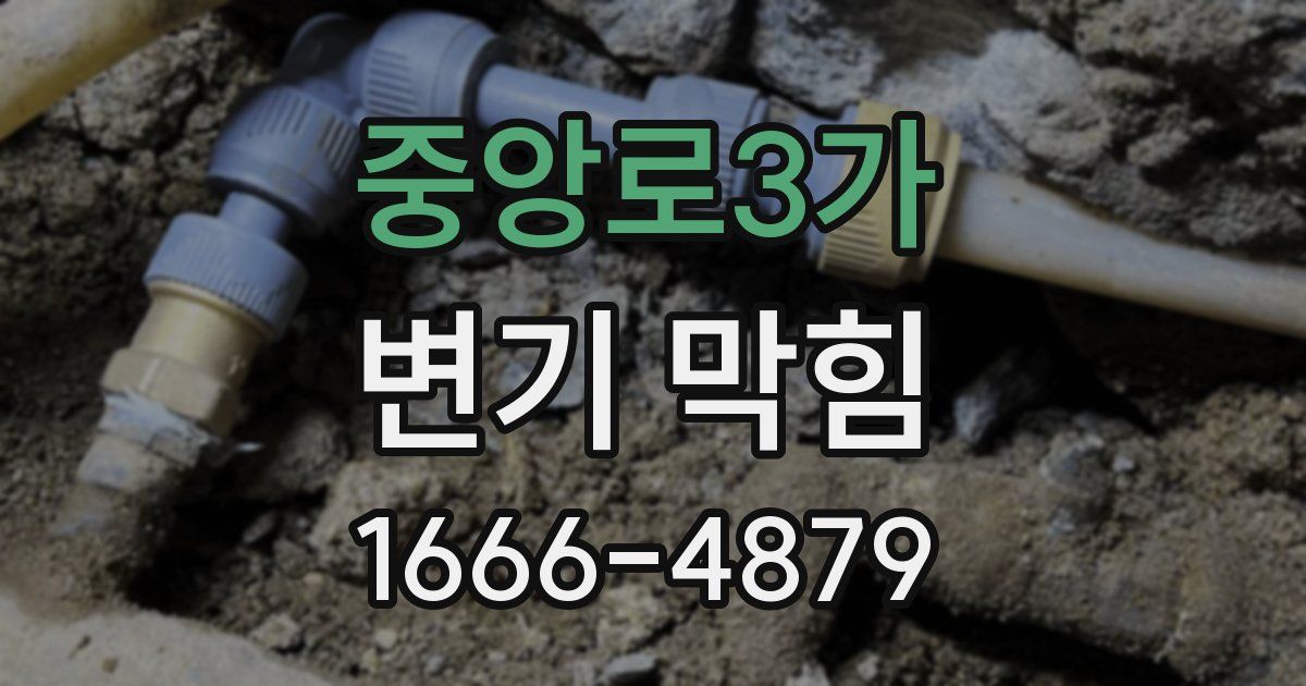 중앙로3가 변기 막힘