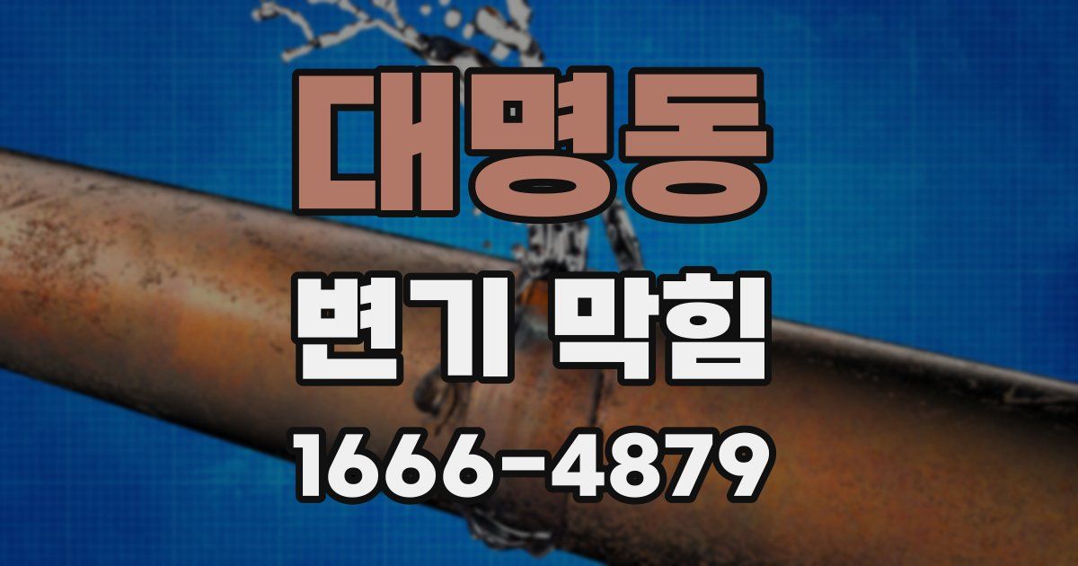 대명동 변기 막힘