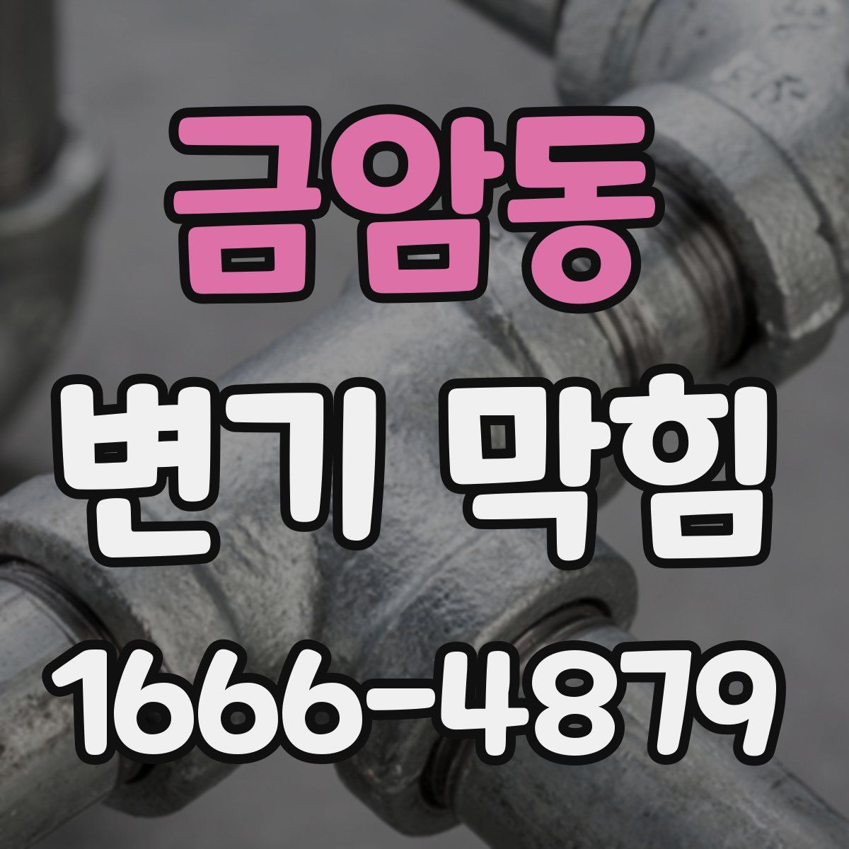금암동 변기 막힘