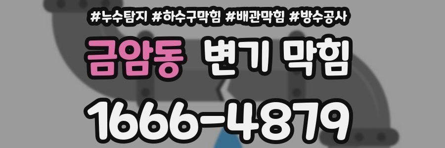 금암동 변기 막힘