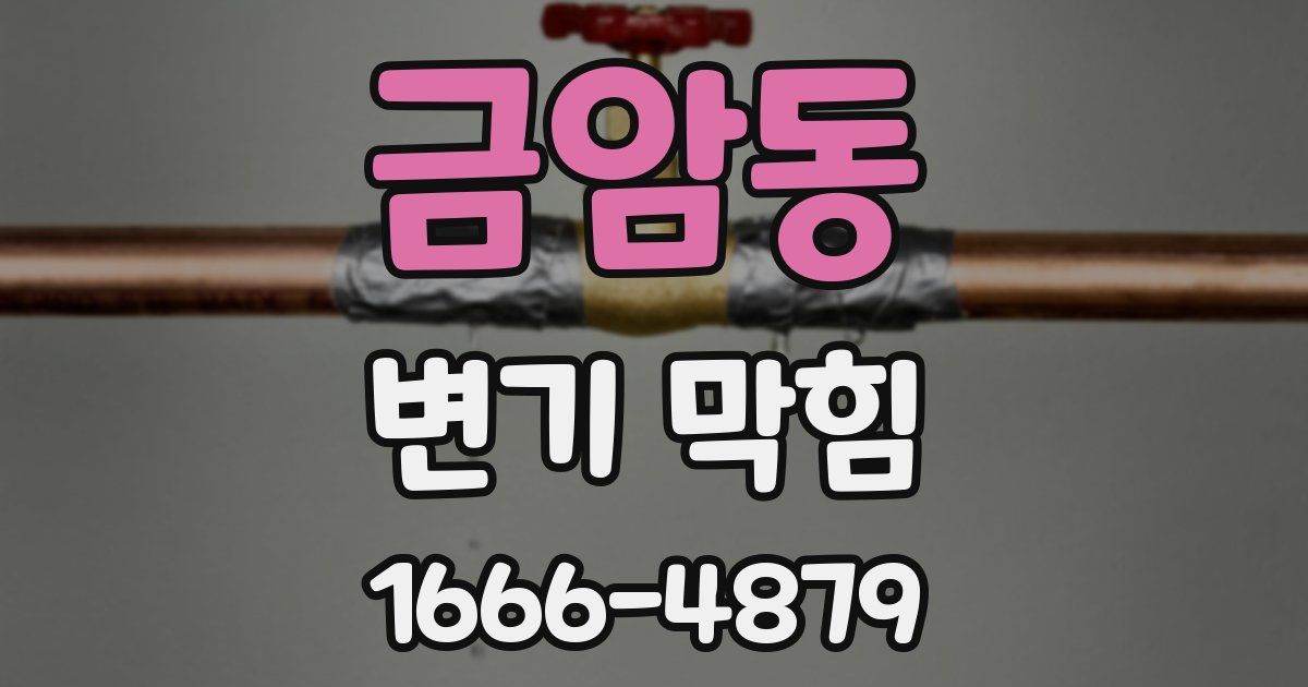 금암동 변기 막힘