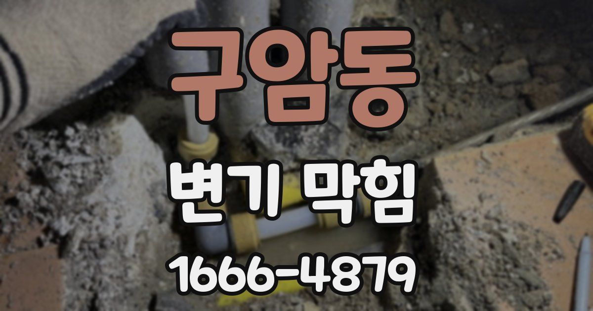 구암동 변기 막힘
