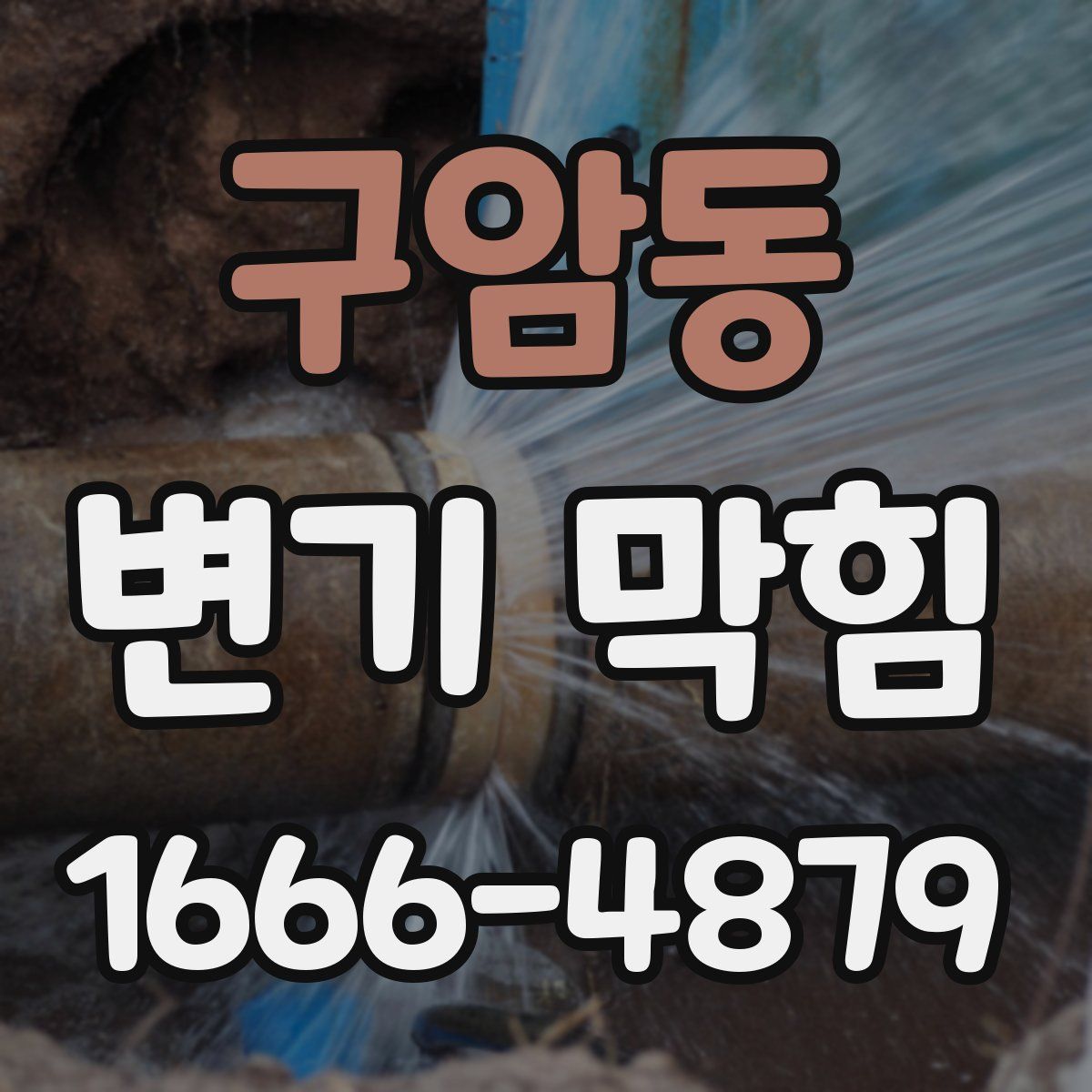 구암동 변기 막힘