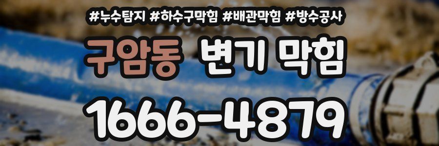 구암동 변기 막힘
