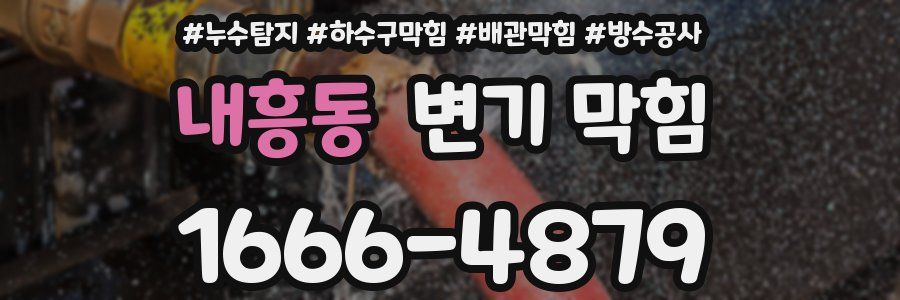 내흥동 변기 막힘