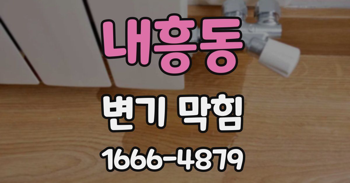 내흥동 변기 막힘