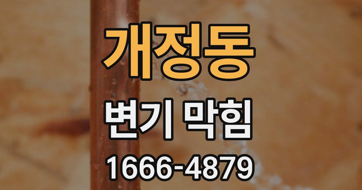 개정동 변기 막힘