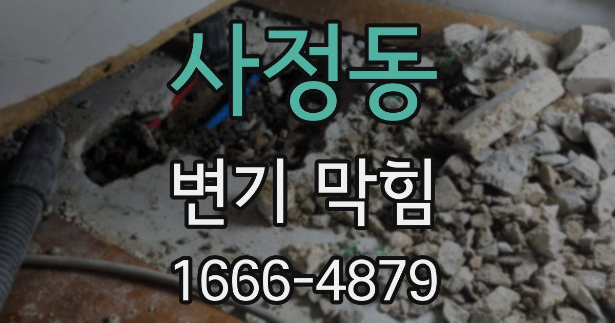 사정동 변기 막힘