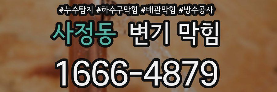 사정동 변기 막힘