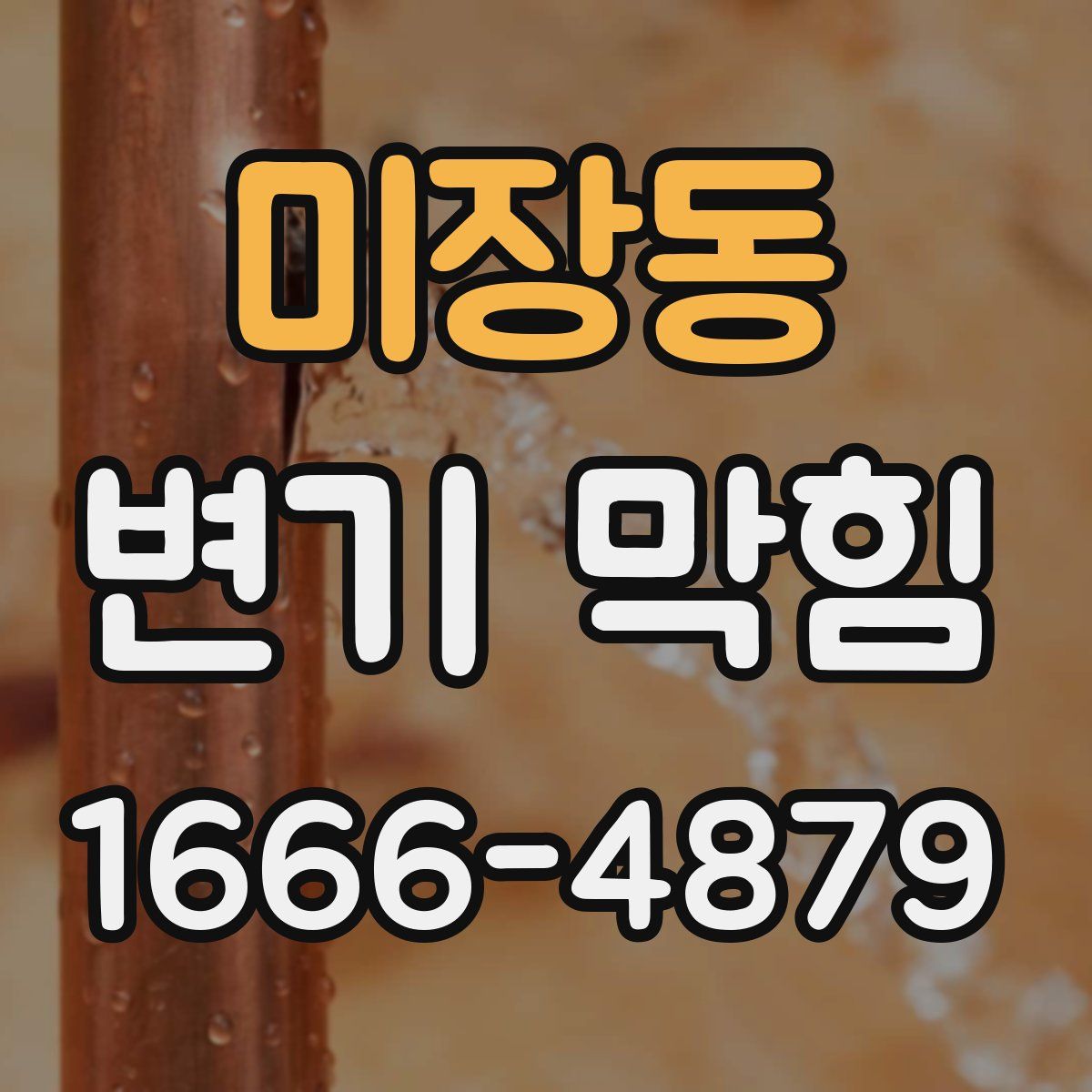 미장동 변기 막힘