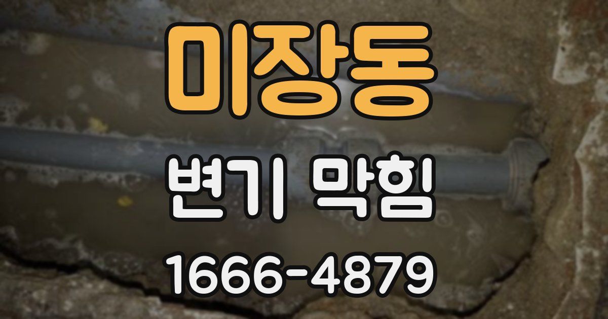 미장동 변기 막힘
