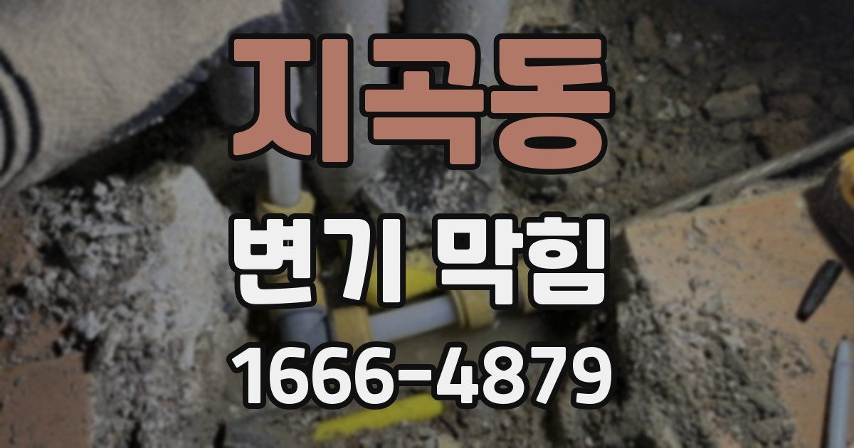 지곡동 변기 막힘
