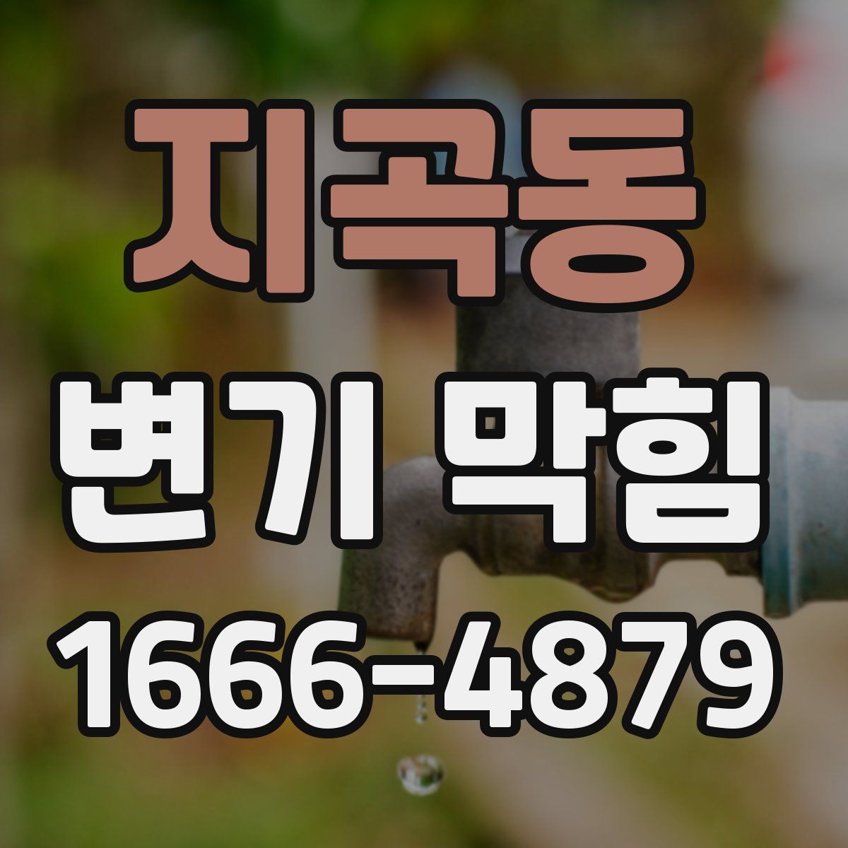 지곡동 변기 막힘