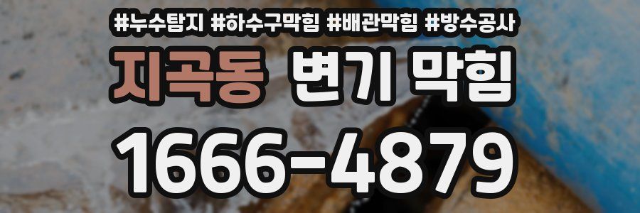 지곡동 변기 막힘