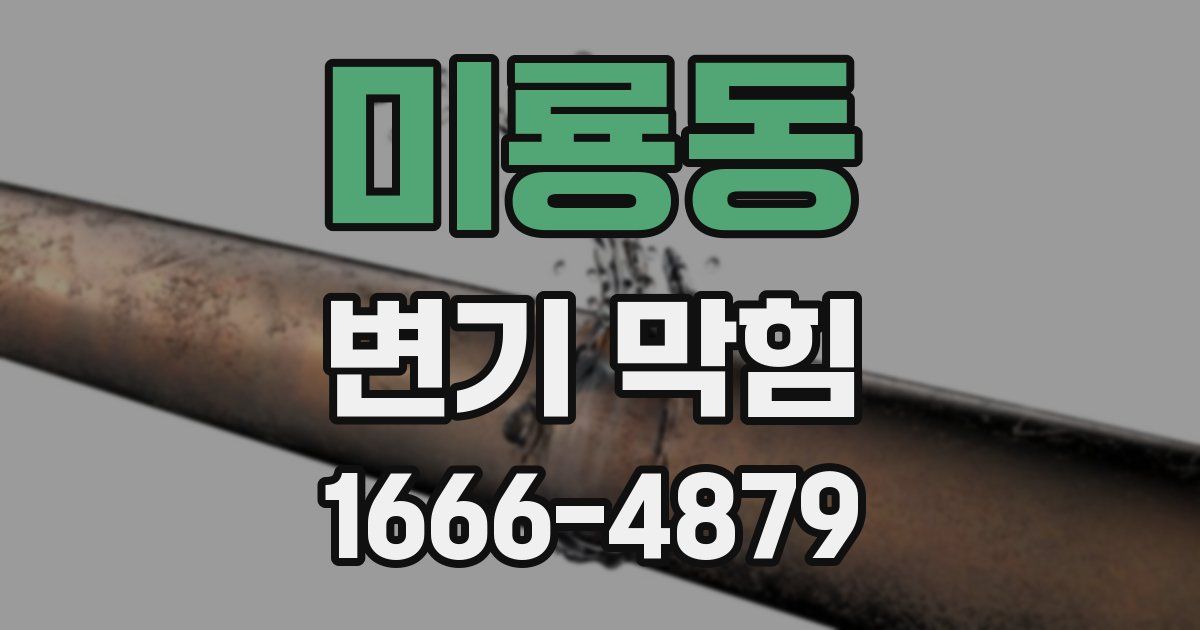 미룡동 변기 막힘
