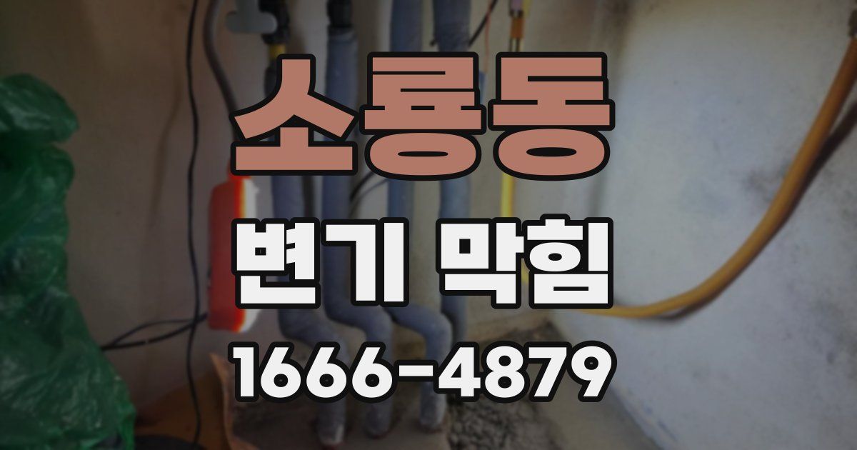 소룡동 변기 막힘
