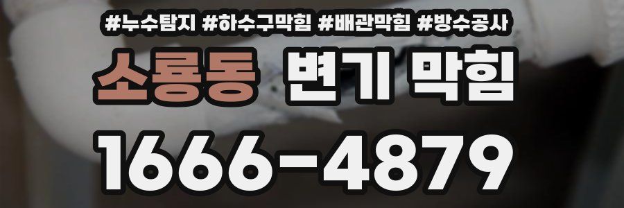 소룡동 변기 막힘