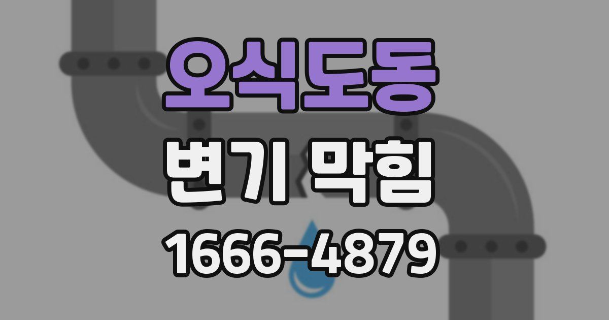 오식도동 변기 막힘