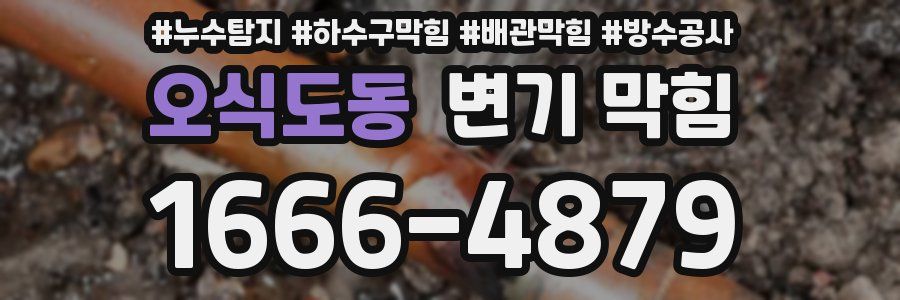 오식도동 변기 막힘