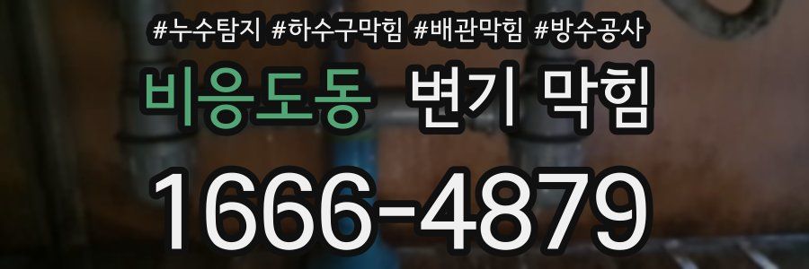 비응도동 변기 막힘