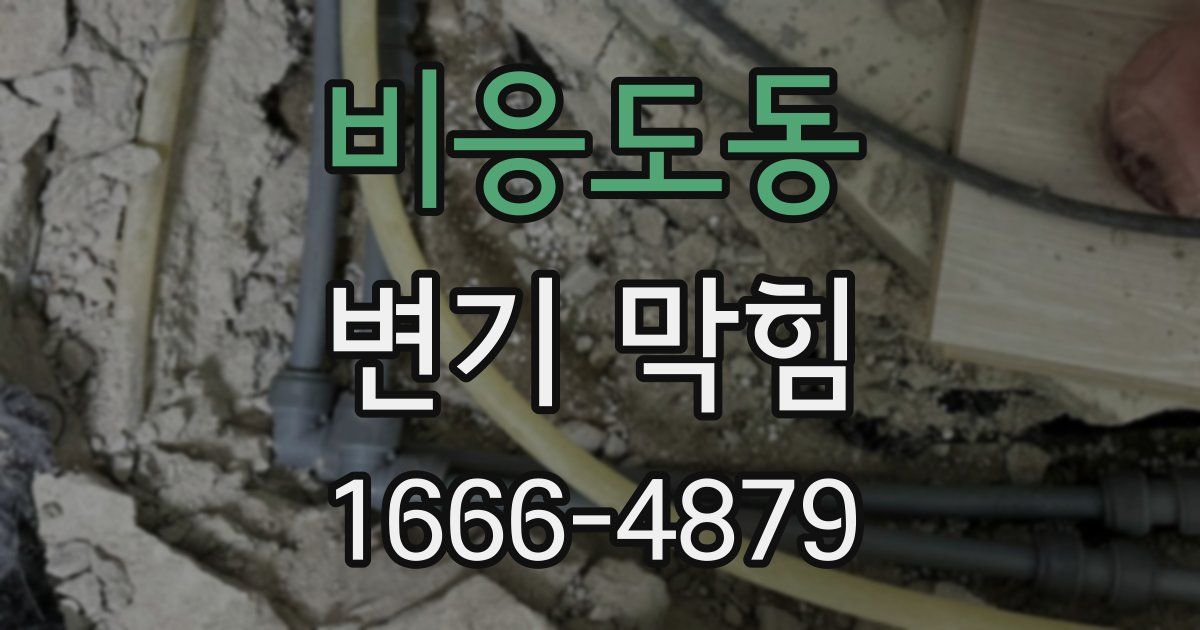비응도동 변기 막힘