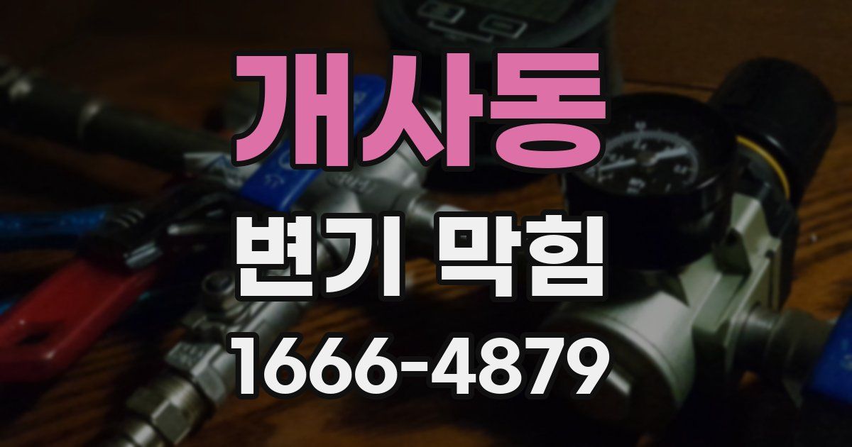 개사동 변기 막힘
