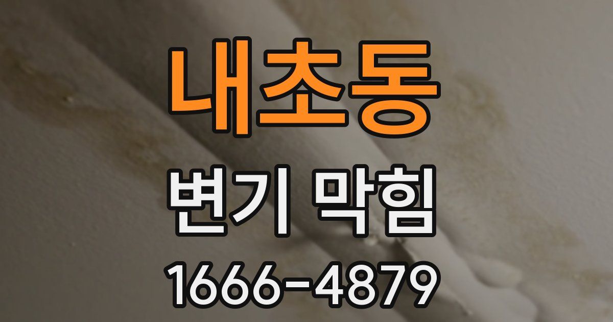 내초동 변기 막힘