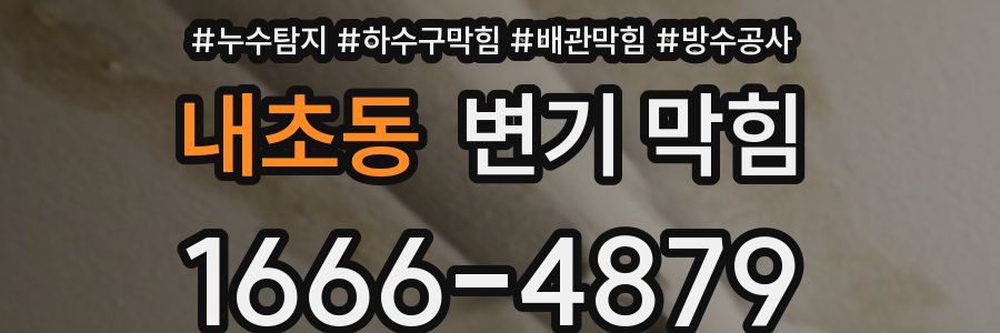 내초동 변기 막힘