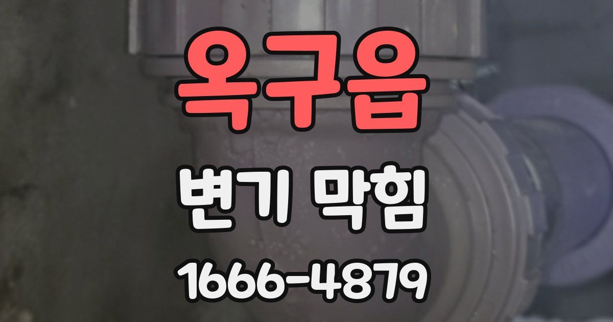 옥구읍 변기 막힘