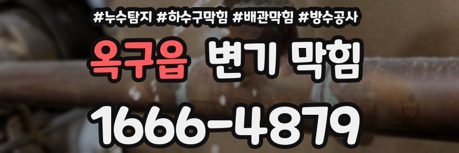 옥구읍 변기 막힘