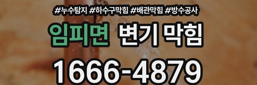 임피면 변기 막힘