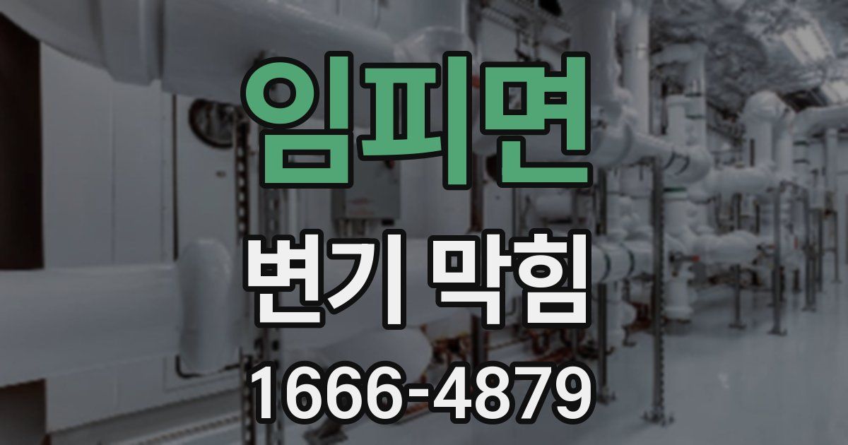 임피면 변기 막힘