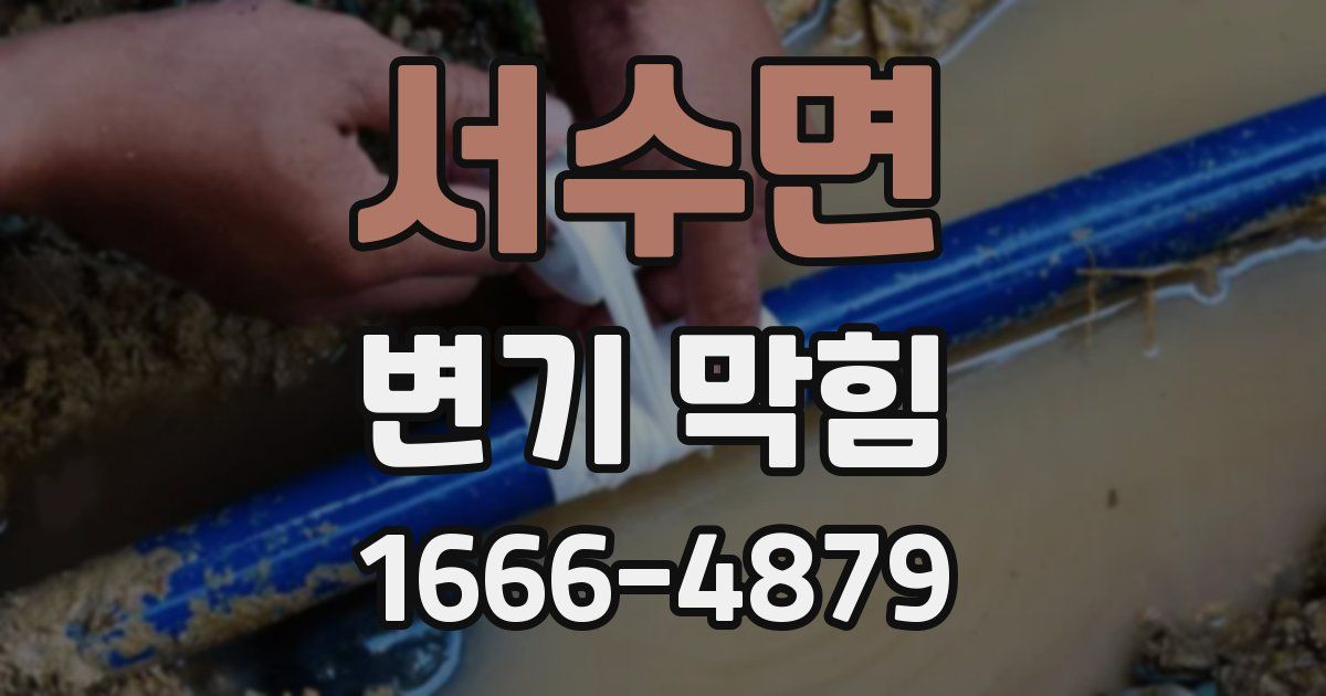 서수면 변기 막힘