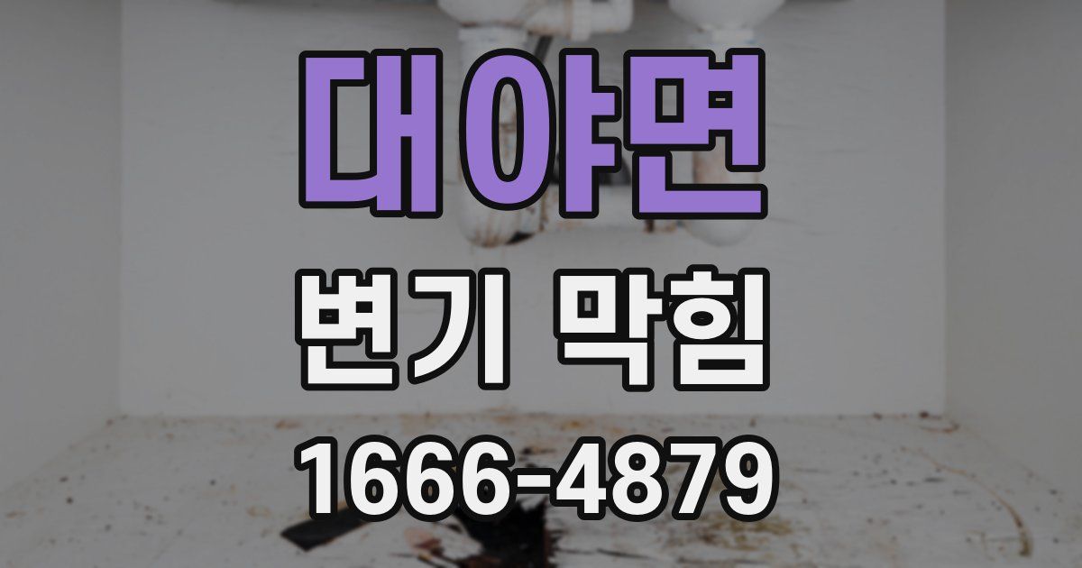대야면 변기 막힘