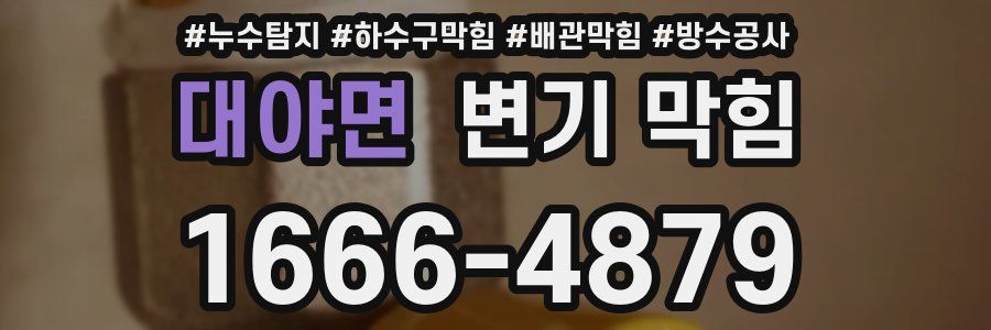 대야면 변기 막힘