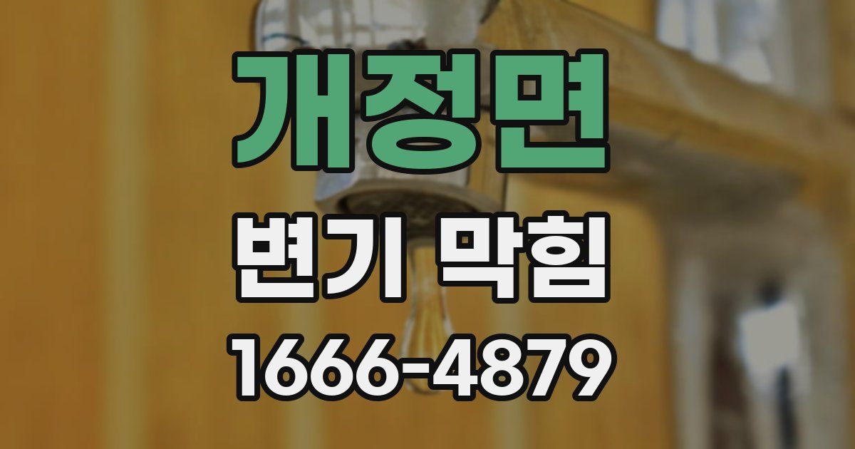 개정면 변기 막힘