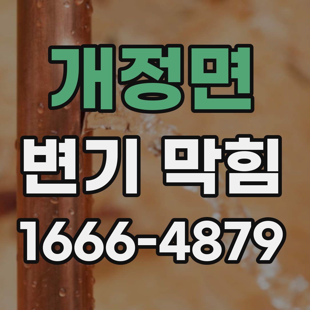개정면 변기 막힘