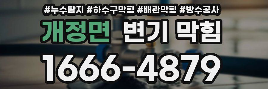 개정면 변기 막힘