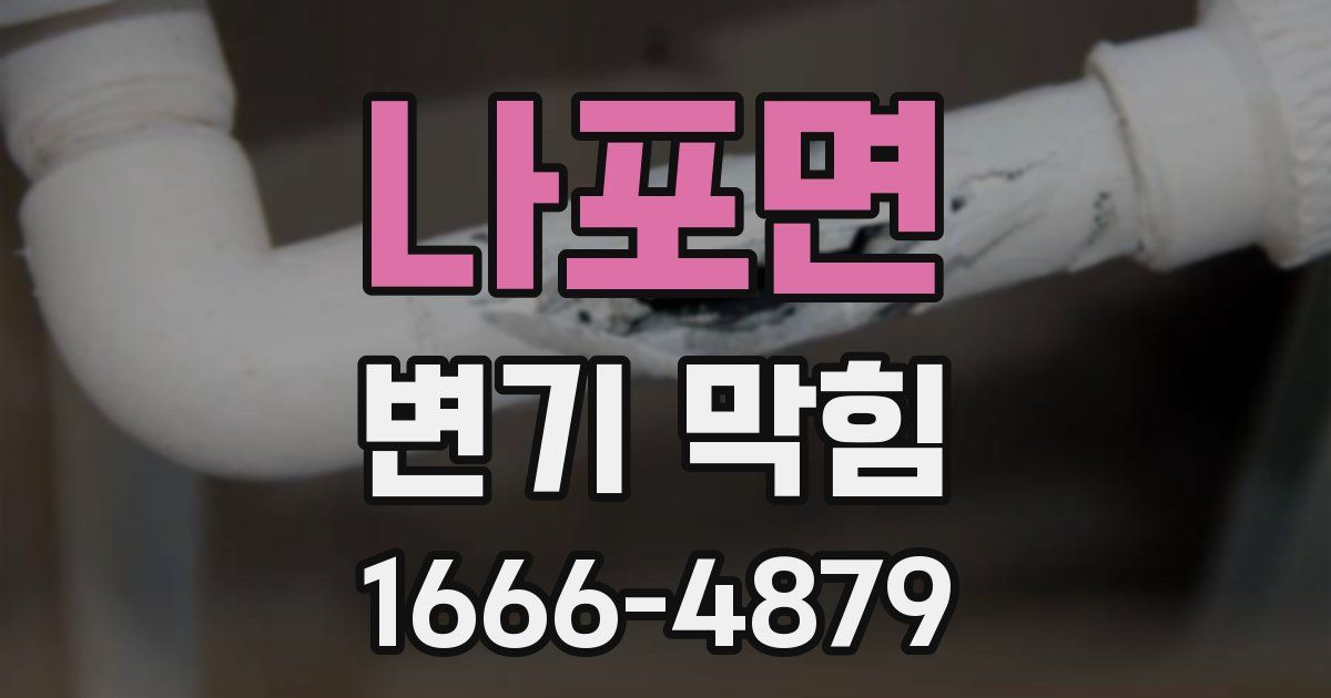 나포면 변기 막힘