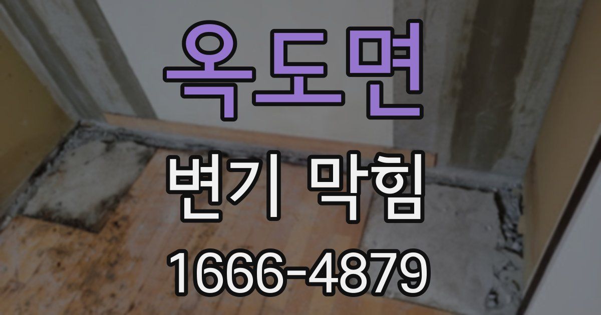 옥도면 변기 막힘