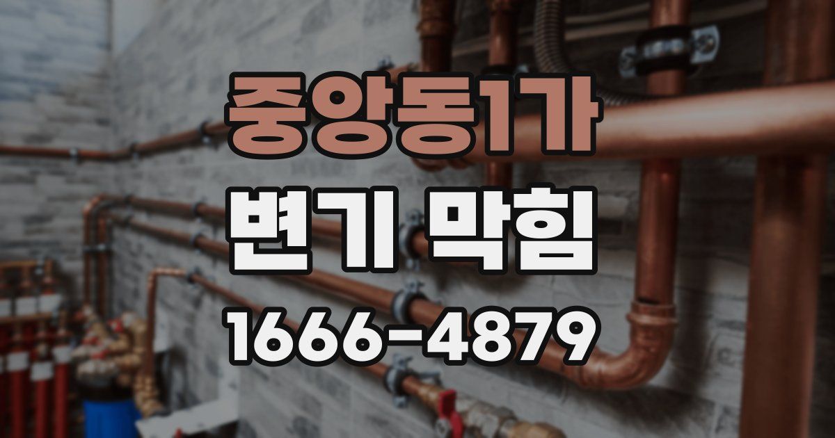 중앙동1가 변기 막힘