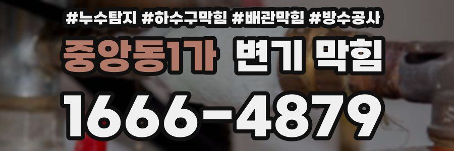 중앙동1가 변기 막힘