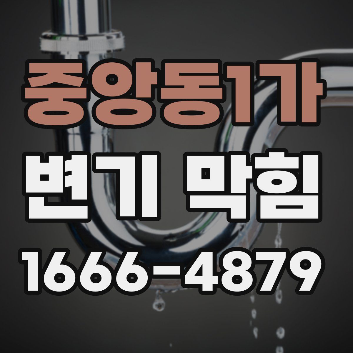 중앙동1가 변기 막힘