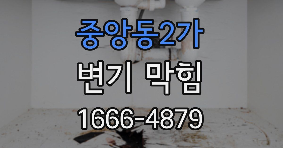 중앙동2가 변기 막힘