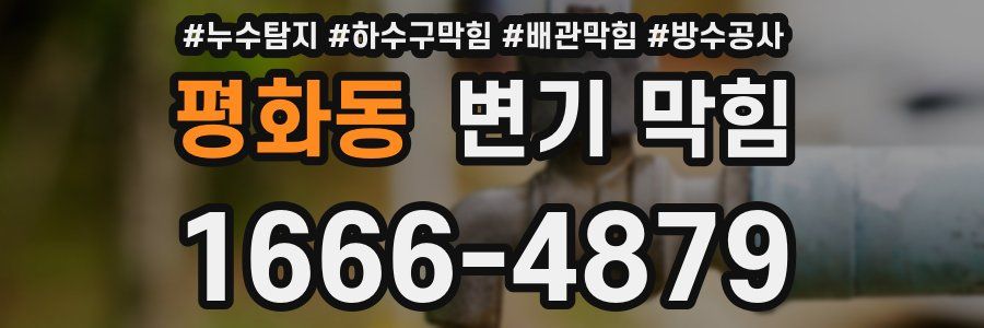 평화동 변기 막힘