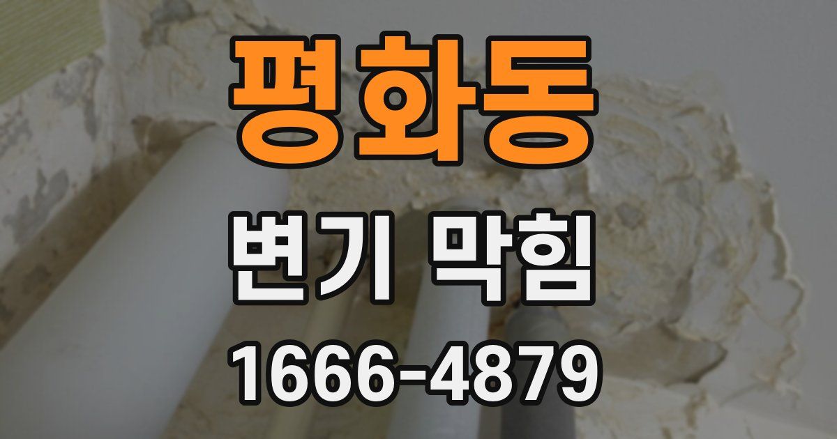 평화동 변기 막힘
